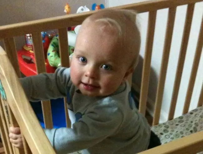 Baby Bears Infant Care